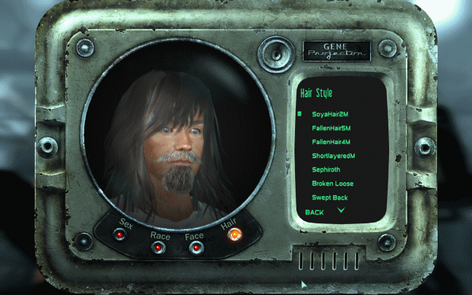 Fallout 3 enhanced character customization