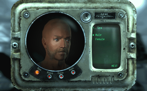 Fallout 3 first patched run